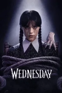 Stream popular movies and TV shows using IPTV